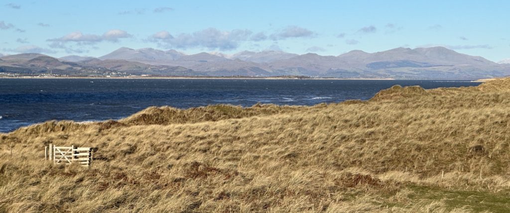 Walney Island Nature Reserve ​