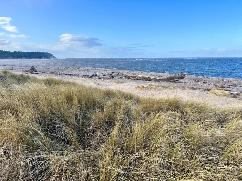 Findhorn