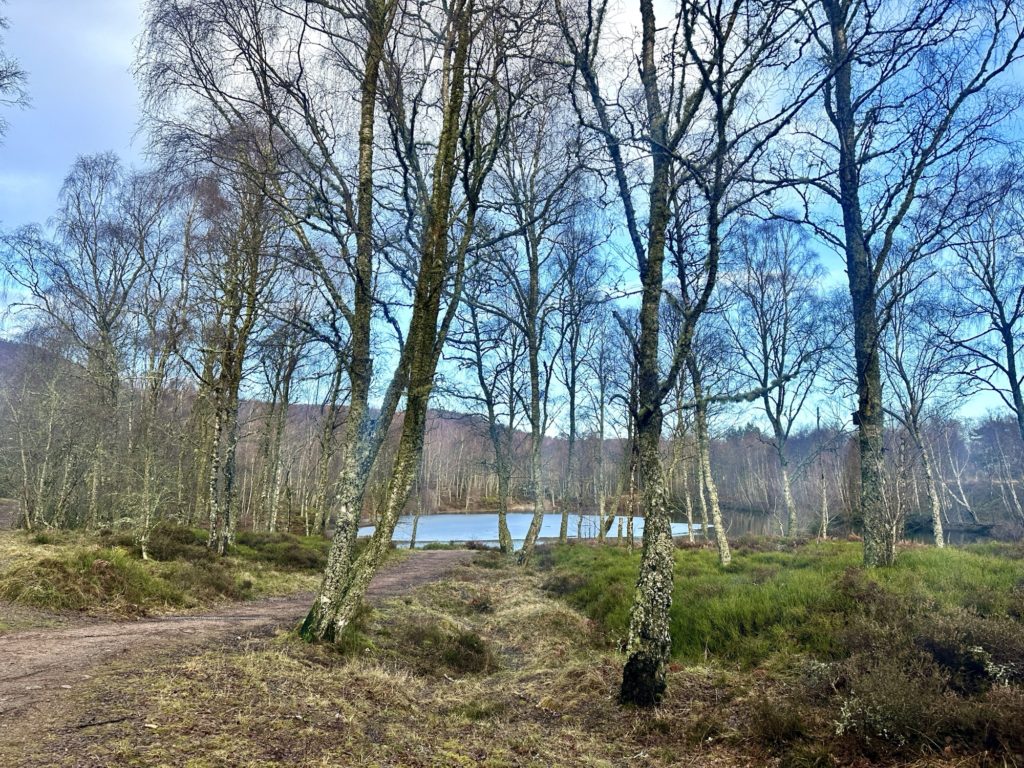 Craigellachie National Nature Reserve