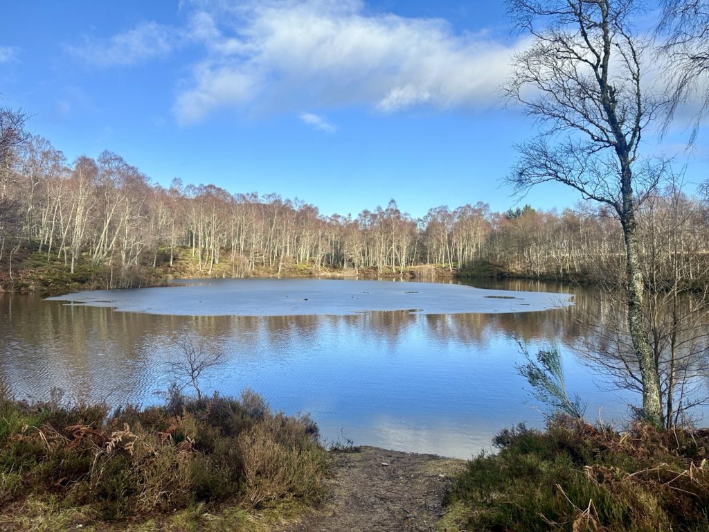 Craigellachie National Nature Reserve