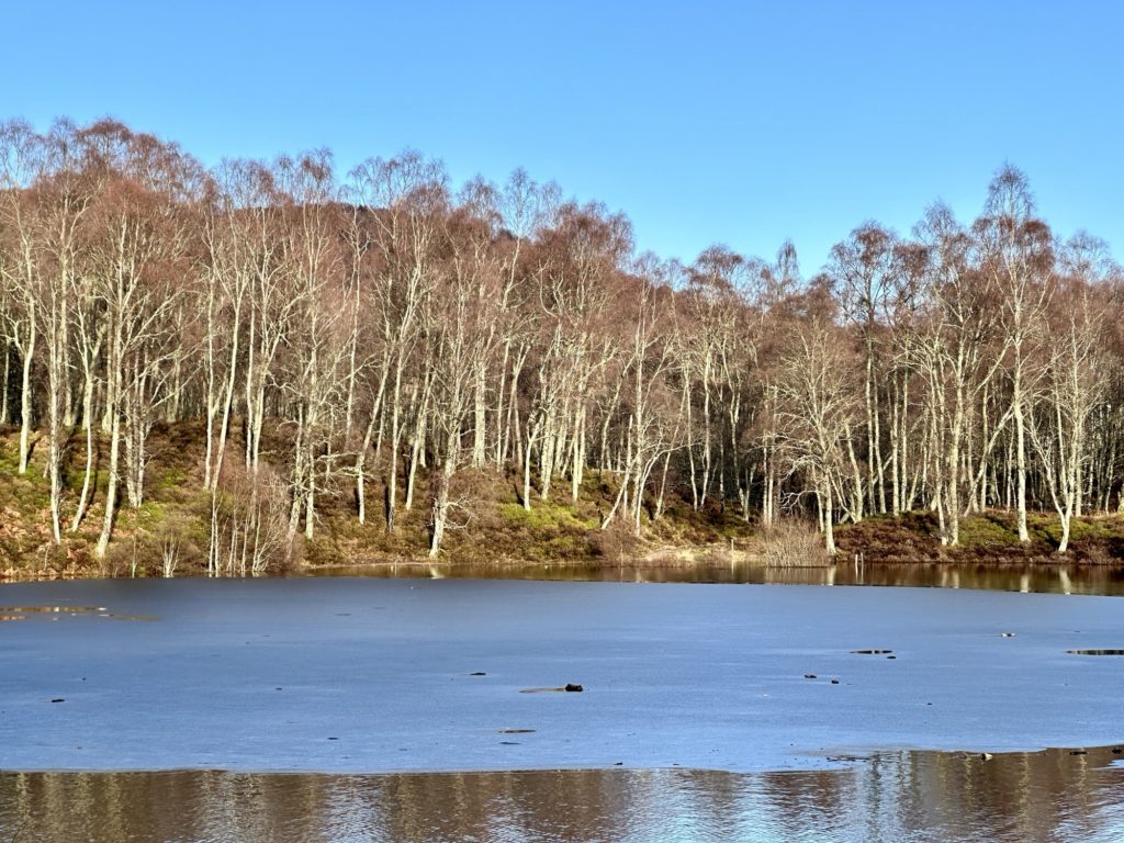 Craigellachie National Nature Reserve