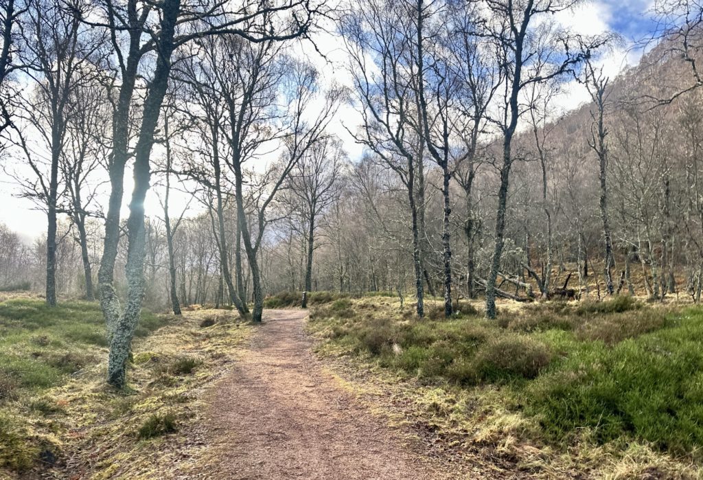 Craigellachie National Nature Reserve