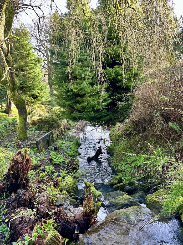 Woodford Bridge Country Club pond