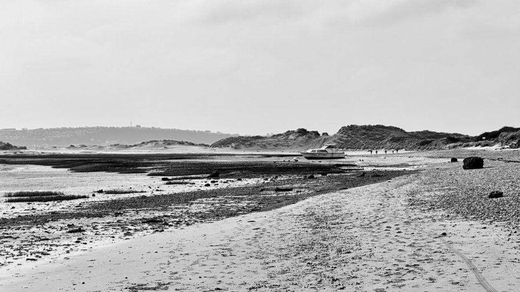 Braunton Burrows