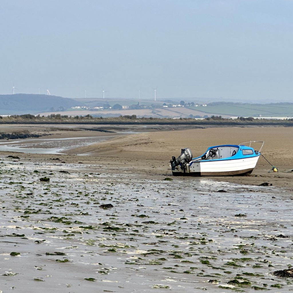 Braunton Burrows