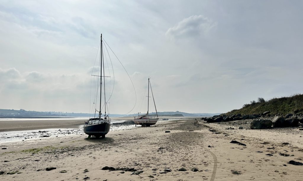 Braunton Burrows