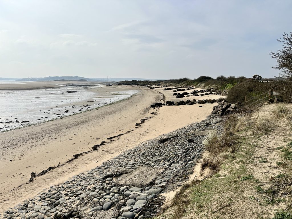 Braunton Burrows