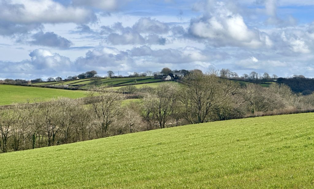 Devon Farm