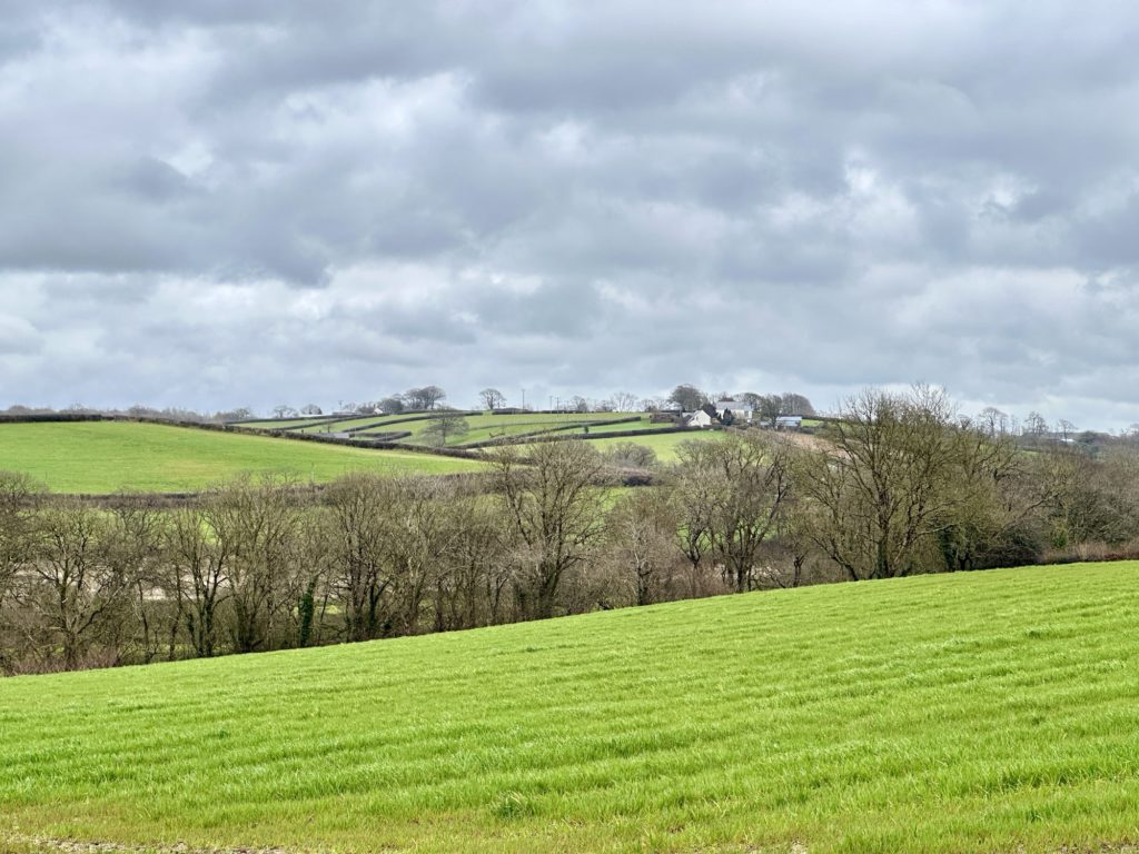 Devon farm