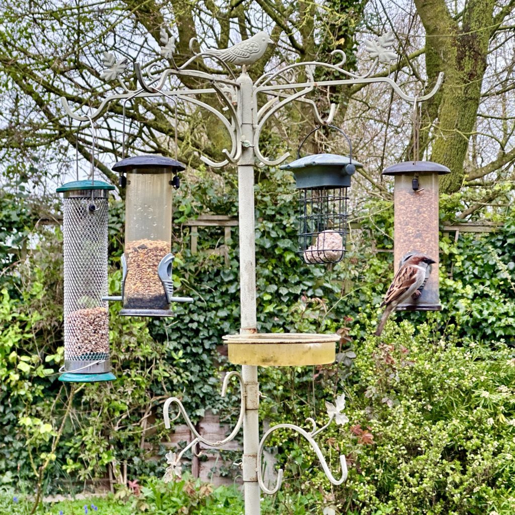 Bird feeder