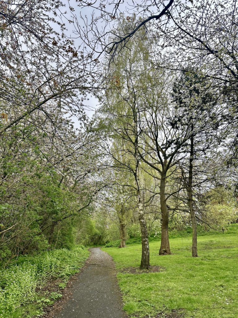 Gateshead Riverside Park