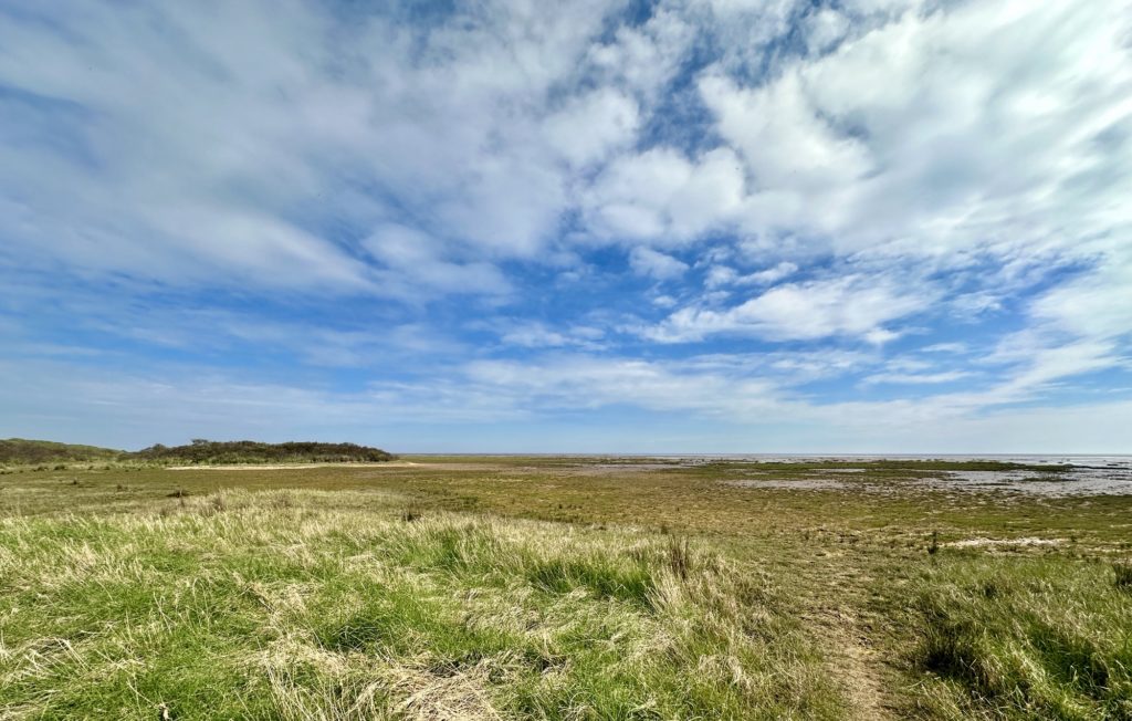 Theddlethorpe Dunes National Nature Reserve