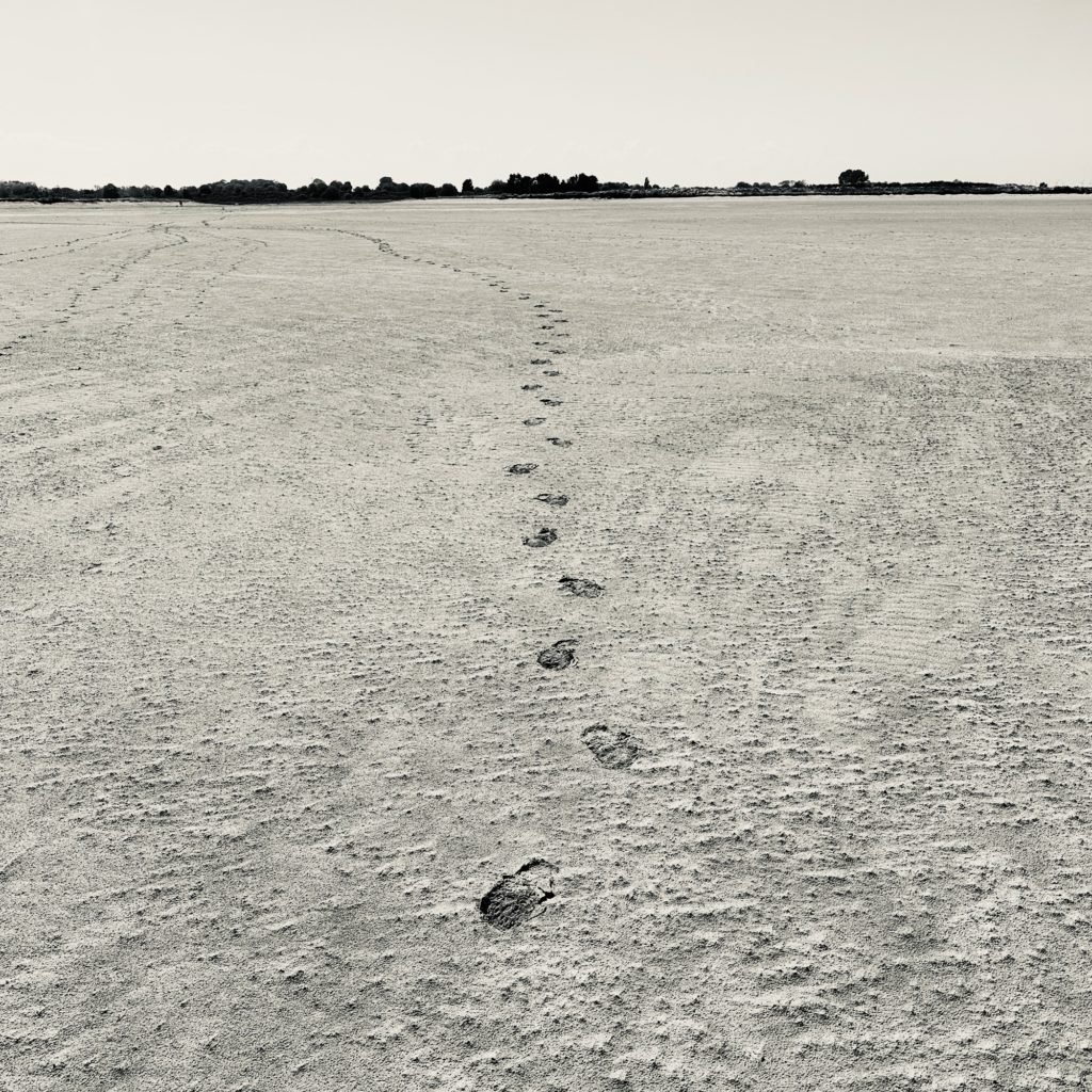 Lincolnshire coast footprints in the sand