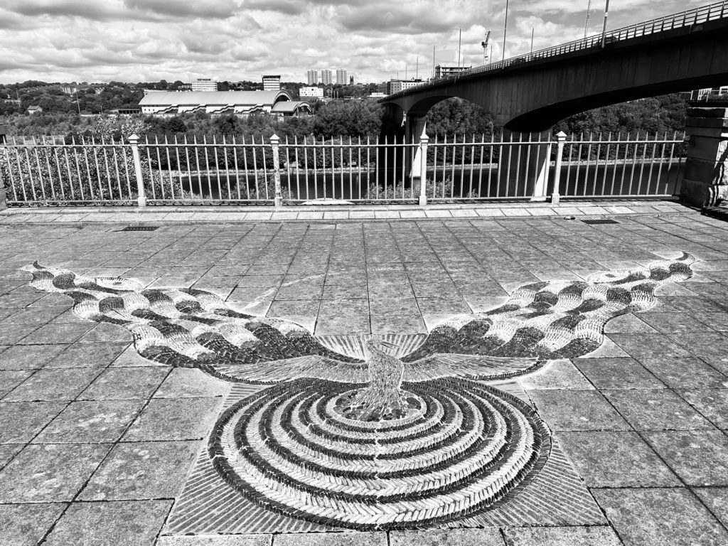 Phoenix in Gateshead
