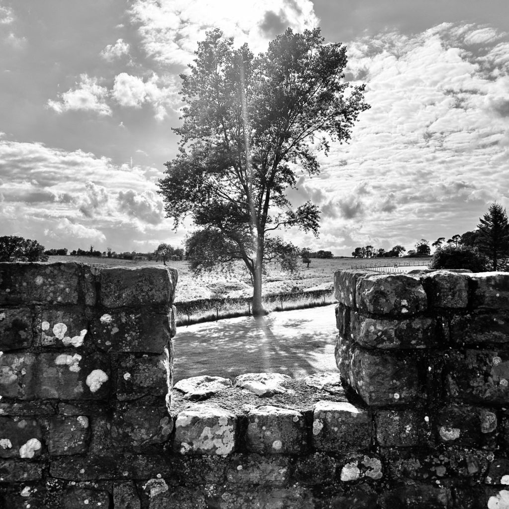 Vindolanda