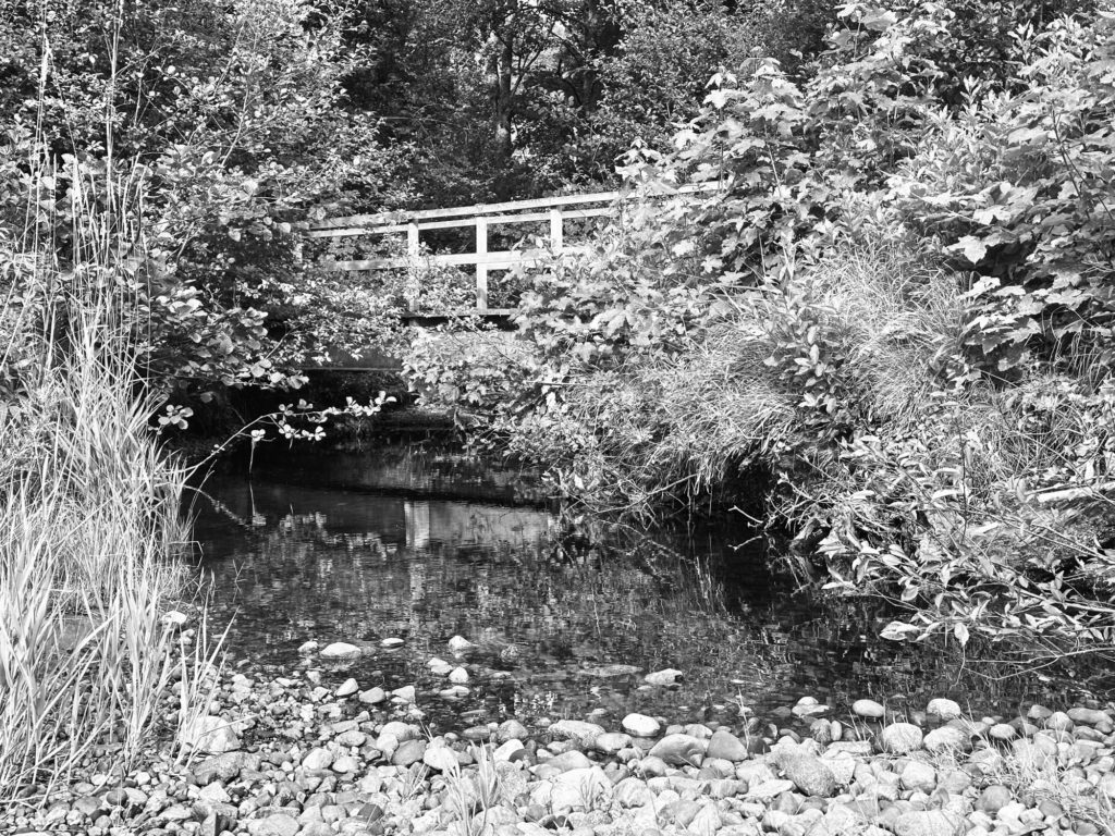 Bridge over a brook
