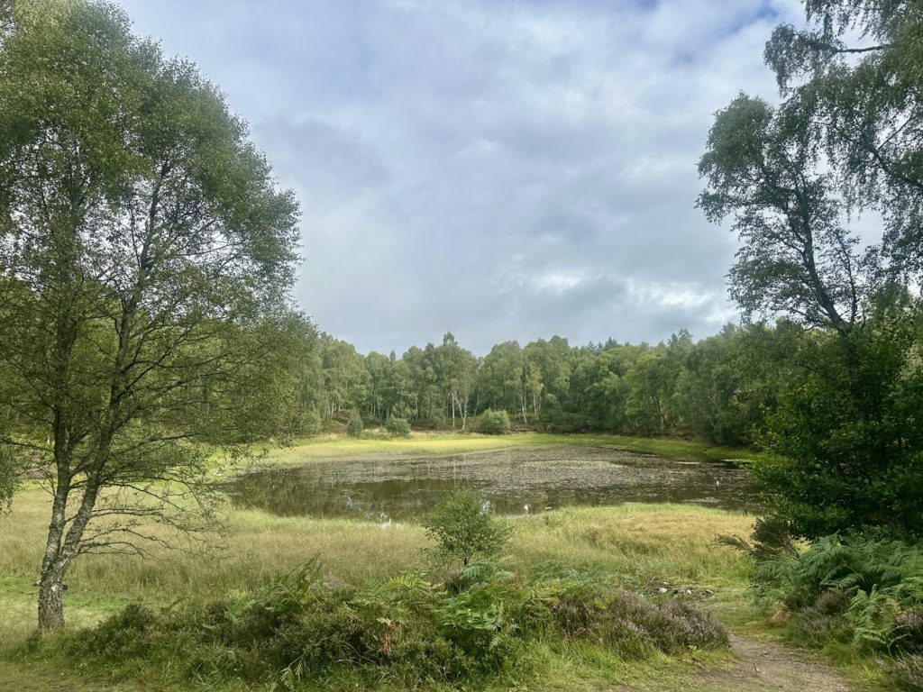 Craigellachie National Nature Reserve