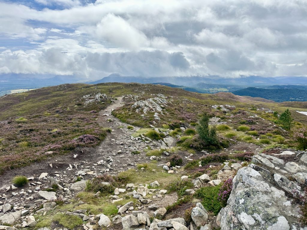 From the cairn on the summit Craigellachie National Nature Reserve