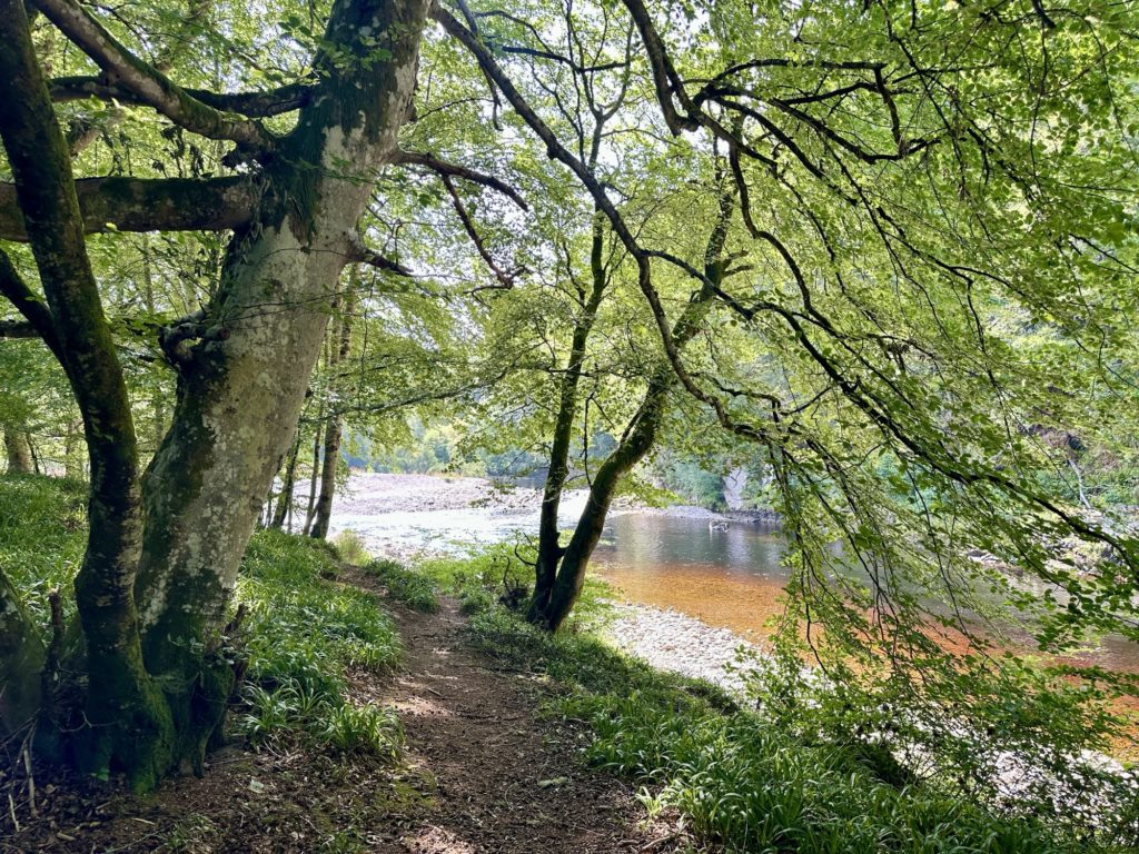 River Findhorn