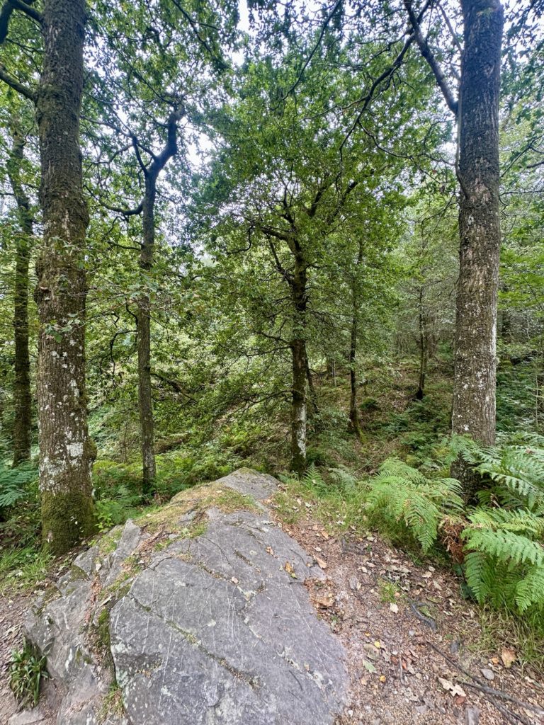 The West Highland Way​
