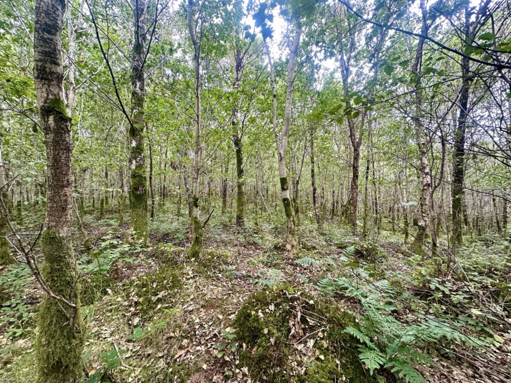The West Highland Way​