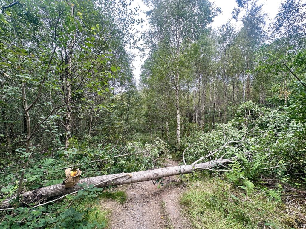 The West Highland Way​ - lunch break