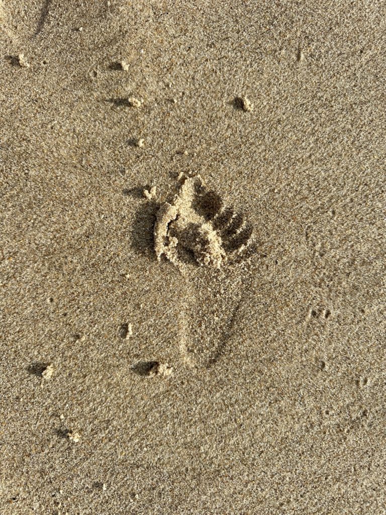 Child’s footprint in the sand