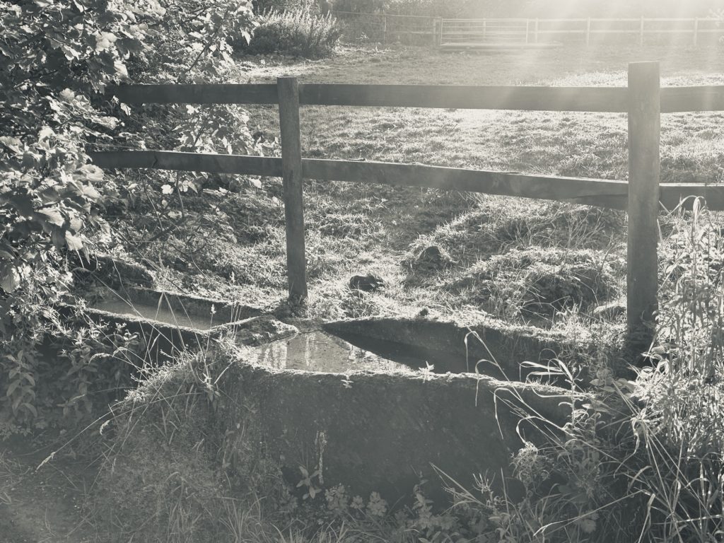 Stone water trough