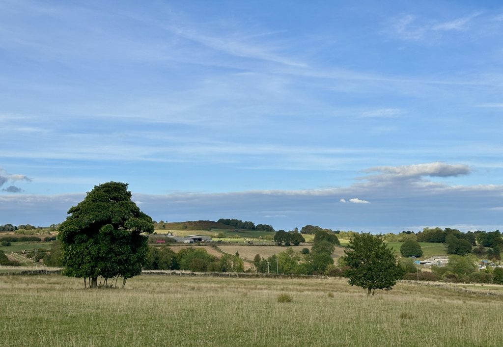 Fields and trees