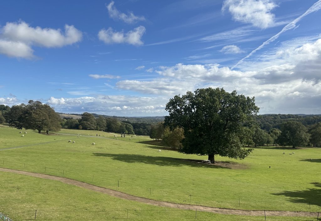 Yorkshire Sculpture Park​