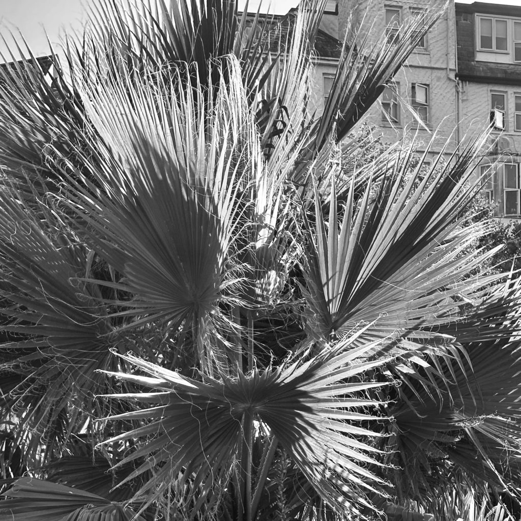 Bournemouth Lower Gardens