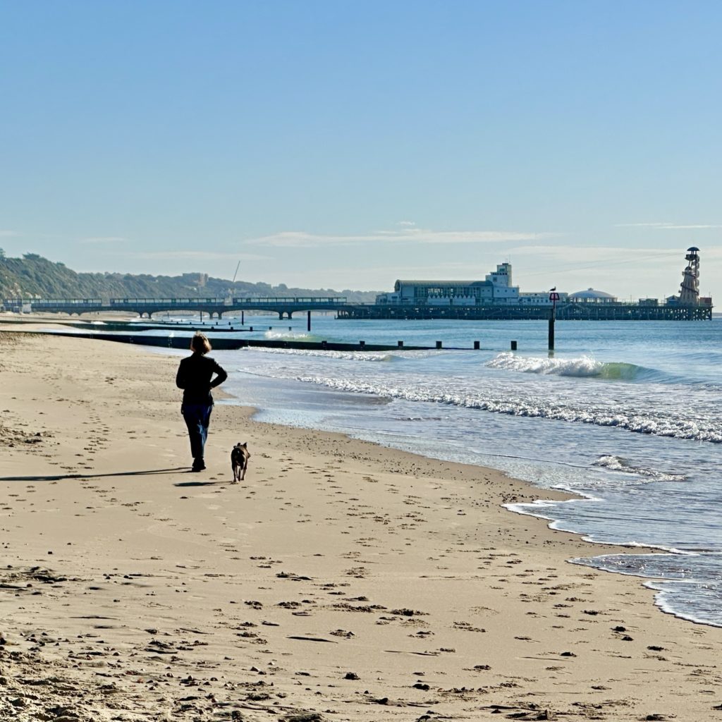 Dog walker on Bournemouth beach 