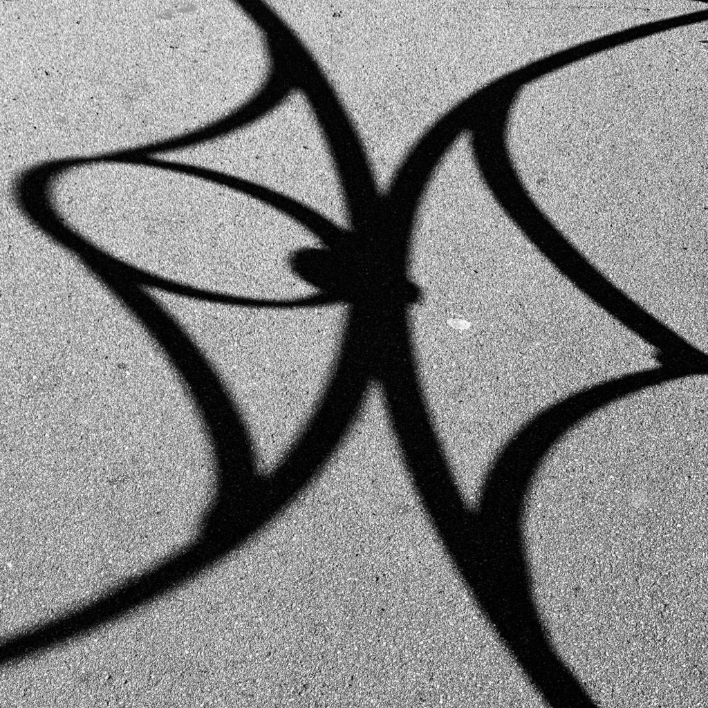 Spider shadow