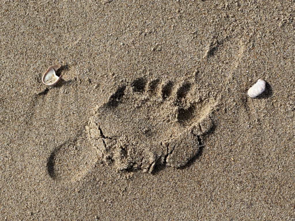 Footprint