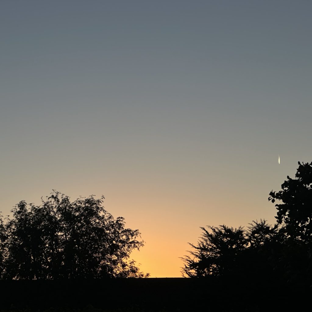 The sunrise from the office