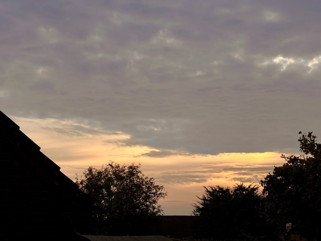 Sunrise looking out of the office