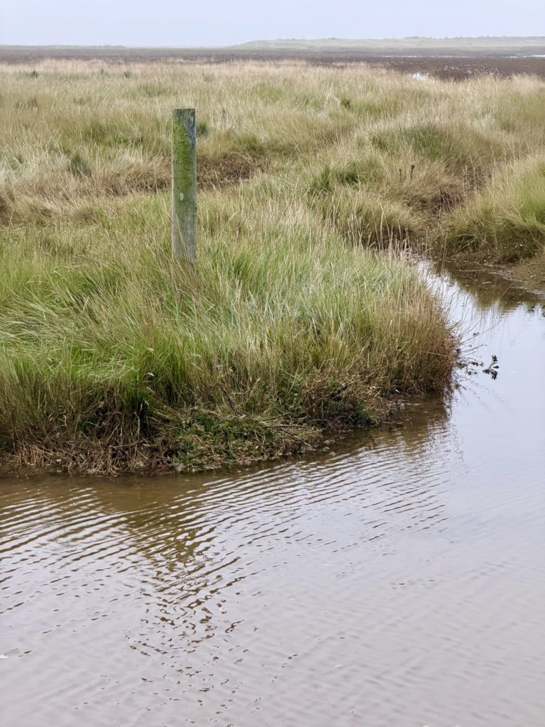 Path marker in the marshes