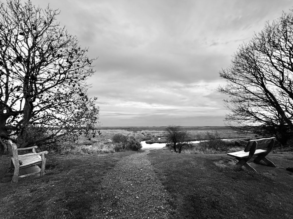 Saltfleet marshes