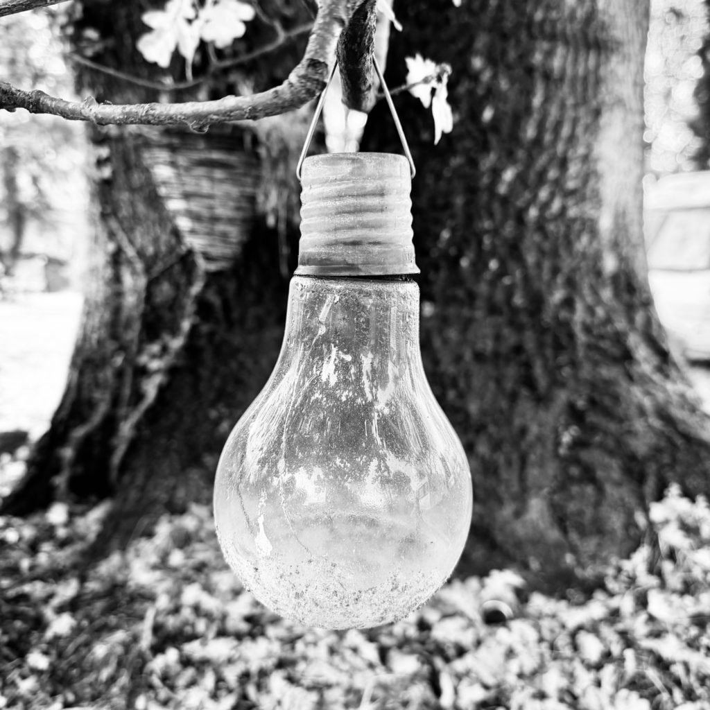 Light bulb