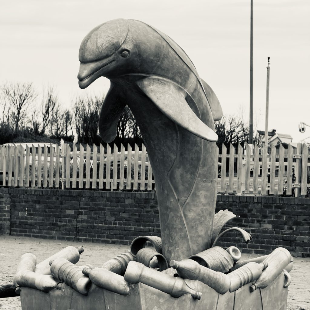Dolphin and plastic rubbish