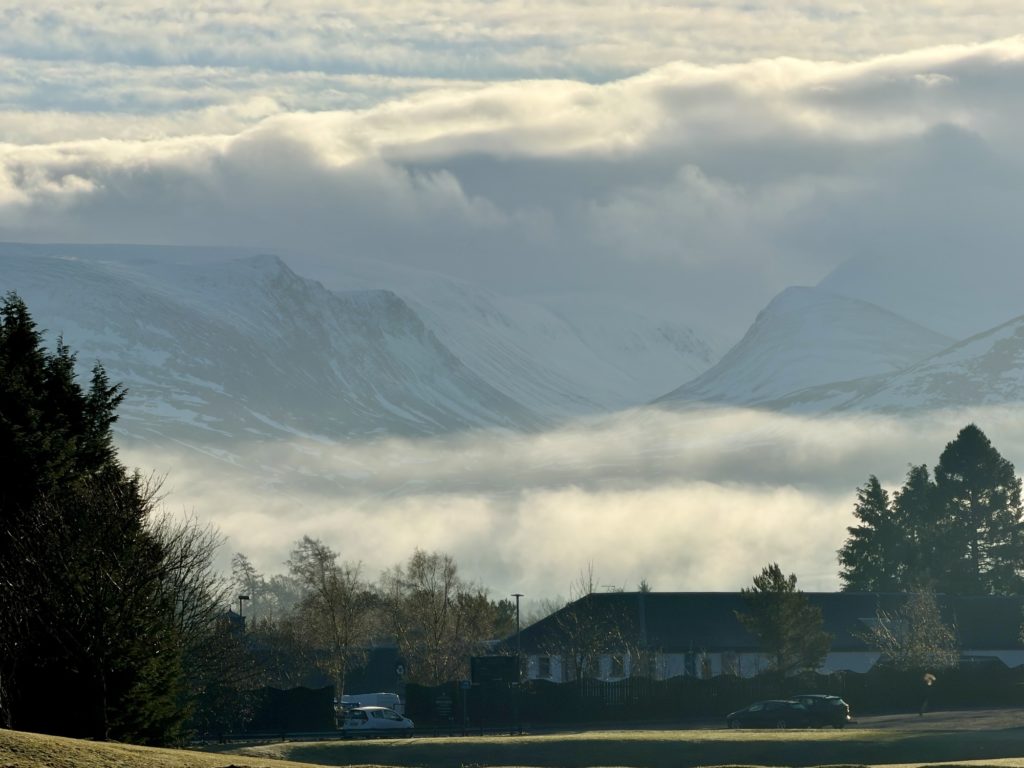 The view from Scandinavian Village​